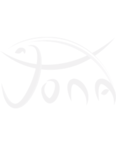 Sealight Pangasius Fillet 170-220g IQF 10 x 1kg 20% -VN
