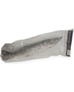 Jona Barracuda WR 500g-UP IPB 1 x 15kg 15% -LK