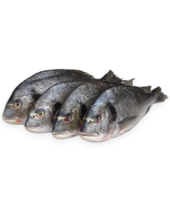 Dorade Royal WR 300-400g Bulk IQF 1 x 5kg 15% -TR