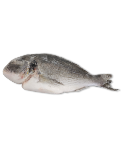 Jona Dorade Royal WGS 300-400g IQF 1 x 5kg 25%-TR