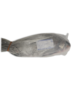 Ult. Taste Catla Gutted 5kg-UP IPB 1 x 22kg 20% -MM