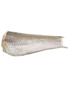 Hake HGT 200-350g IWP 1 x 24.5kg -MR