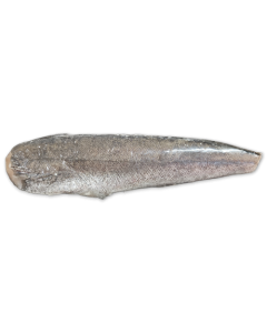 Hake HGT 300-450g IWP 1 x 19kg -MR