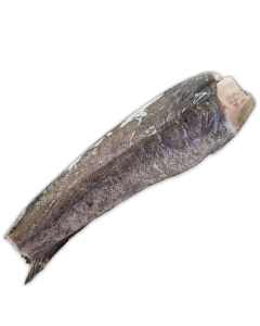 Hake HGT 300-450g IWP 1 x 21.5kg -MR