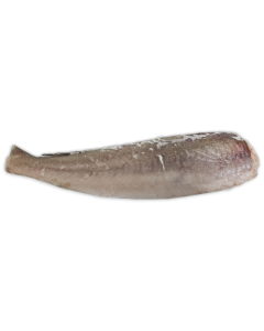 Hake HGT 300-450g IWP 1 x 23kg -MR