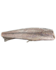 Hake HGT 450-600g IWP 1 x 20kg -MR