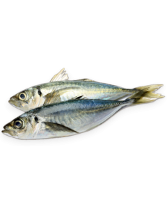 Horse Mackerel FAS WR 400gr +/- 21 kg Block-NL