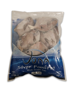 Jona Silver Pomfret WR 100-120g IQF 10 x 1 kg 20% -CN