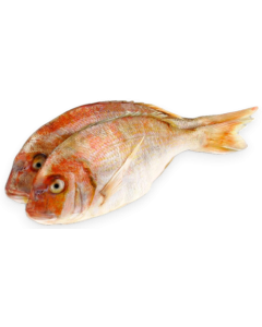 Snapper/Besugo WR 400-600 gr 1 x 10 kg semi IQF-AR