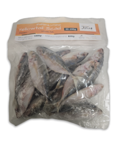 Jona Yellowtail Scad WR 50-200g 10 x 1kg 15% - LK