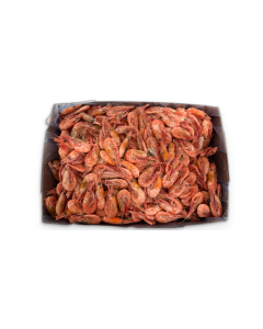 Nordic Cooked Pandalus 90/120 IQF 1 x 5 kg 100% -CA