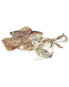 Bonemer Loligo WR 80-200g Block 1 x 5kg 15% -NL