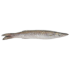 Jona Barracuda WR 150-200g Block 1 x 15kg 10% -EC